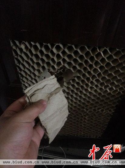 郑州步阳防盗门填充物为纸板 厂家称国家允许