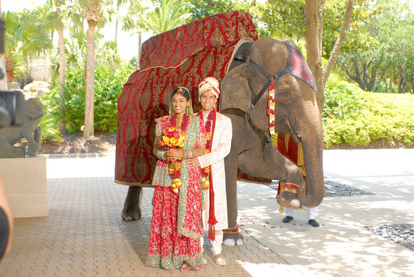 印度新婚夫妇蜜月旅行