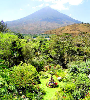 火山脚下的危地马拉咖啡园