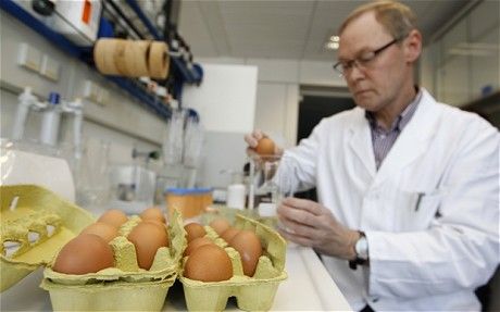 食品监控机构在分析鸡蛋