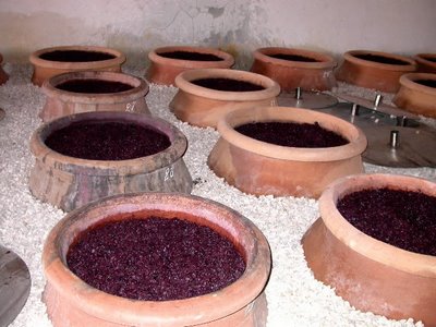 葡萄酿造