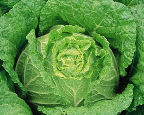 冬季养生指南：六种生吃的瘦身蔬菜