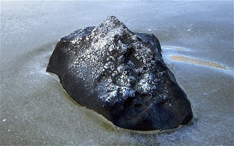 这是2008年11月28日在加拿大的一个池塘内发现的一块陨石碎片