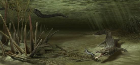 艺术概念图，展示了生活在6000万年前的巨型鳄鱼A. guajiraensis、世界上体型最大的蛇以及它们的生活环境